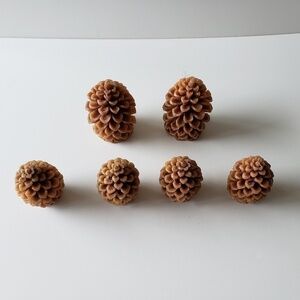 (Set of 6) Pinecone Wax Buring Candles